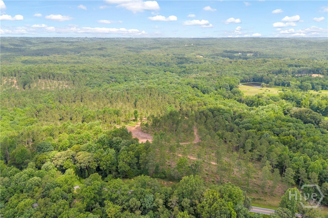 0 Mt. Sinai Lot 9 Property Photo 20