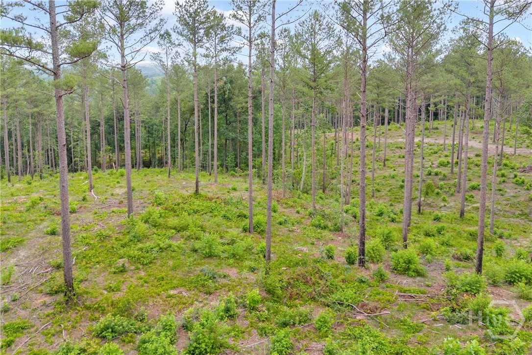 0 Mt. Sinai Lot 9 Property Photo 24