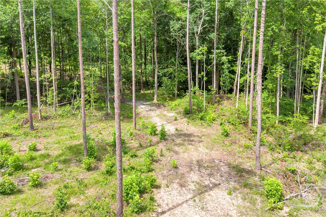 0 Mt. Sinai Lot 9 Property Photo 33