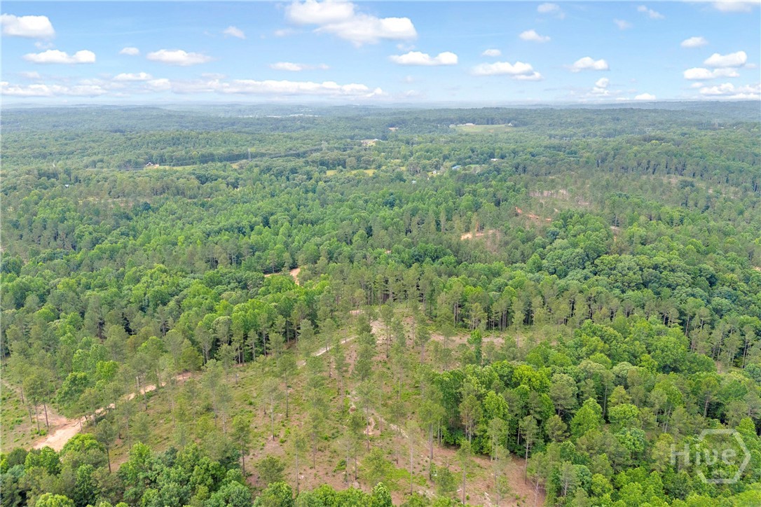 0 Mt. Sinai Lot 9 Property Photo 41