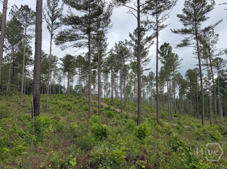 0 Mt. Sinai Lot 9 Property Photo 44