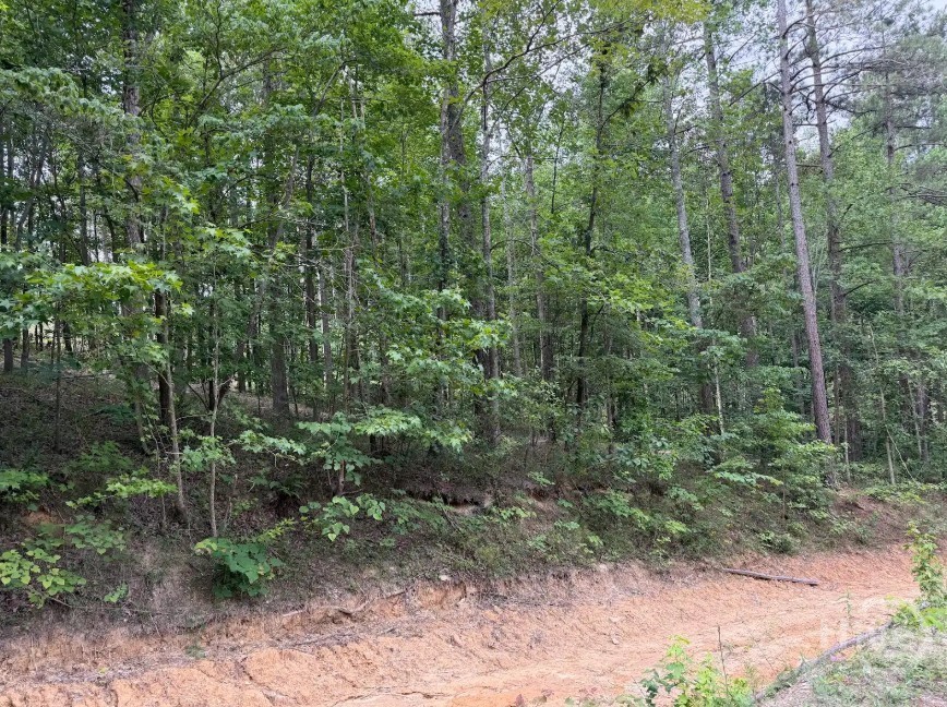 0 Mt. Sinai Lot 9 Property Photo 53