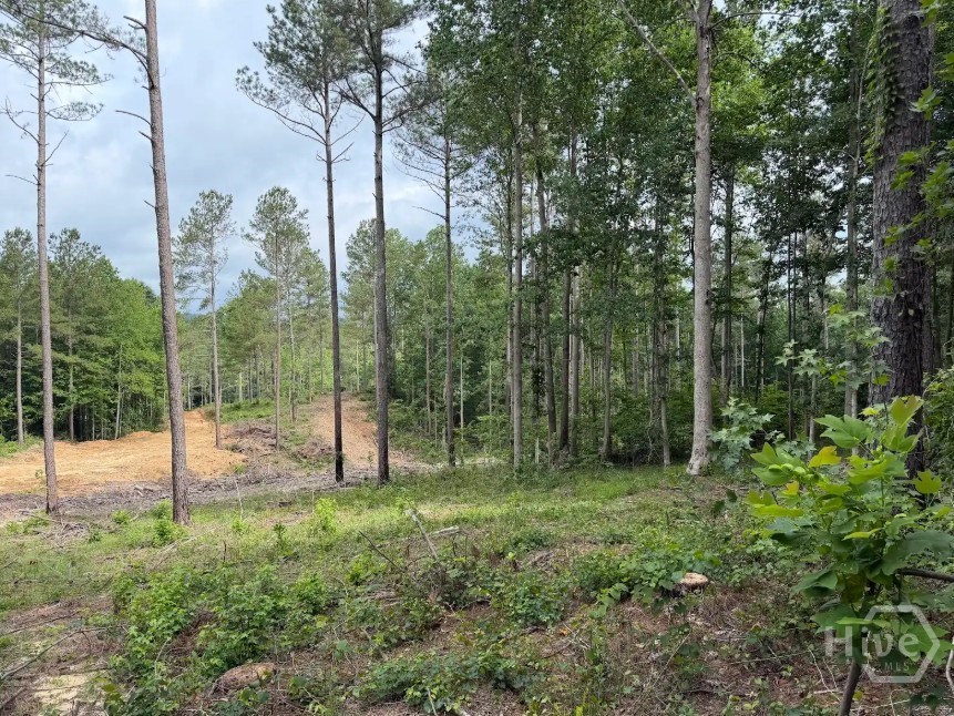 0 Mt. Sinai Lot 9 Property Photo 54
