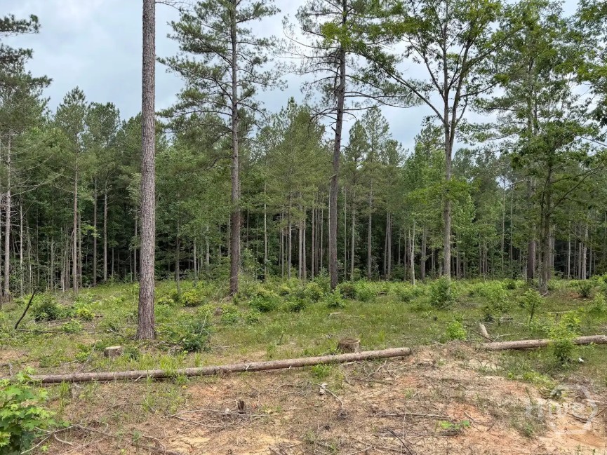 0 Mt. Sinai Lot 9 Property Photo 55
