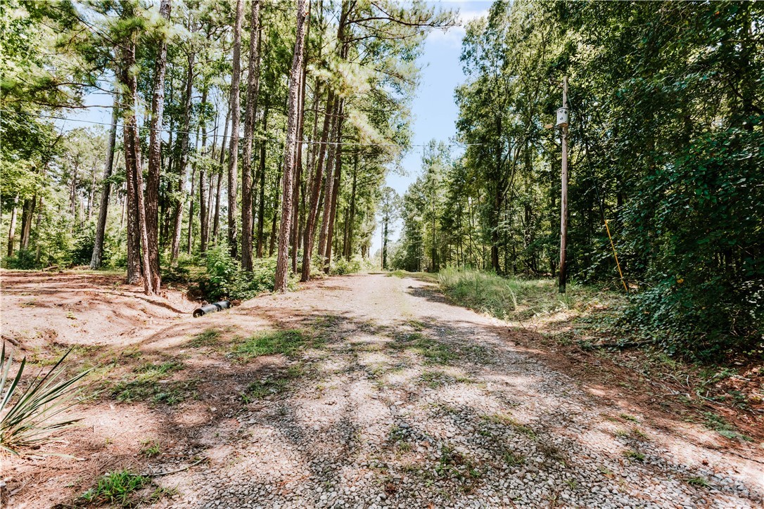 72 Terry Dee Lane Property Photo 32