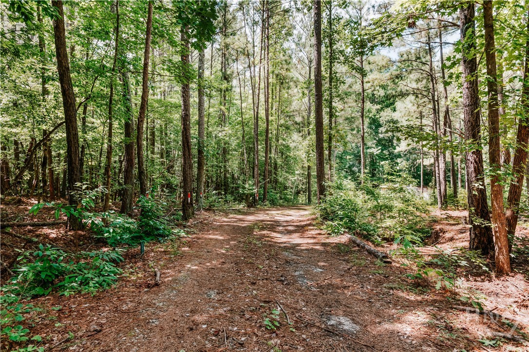 72 Terry Dee Lane Property Photo 33