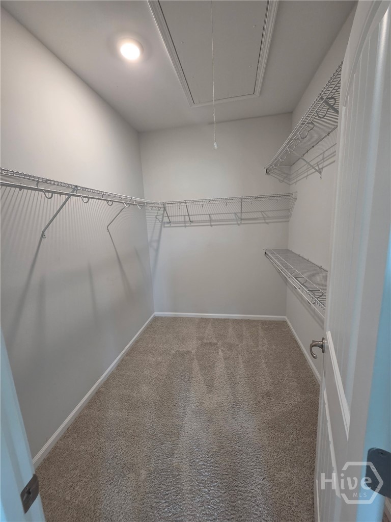 9 Headlands Court Property Photo 19