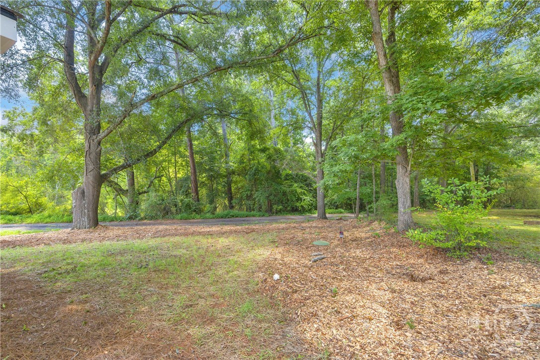 47 Durham Street Property Photo 29