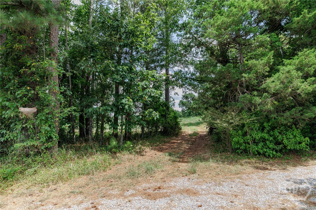 6070 Old Jefferson Road Property Photo 16