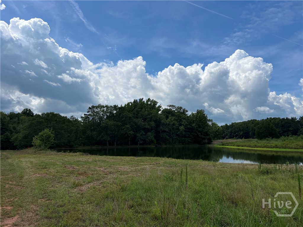 1401 Dixie Road Property Photo 9