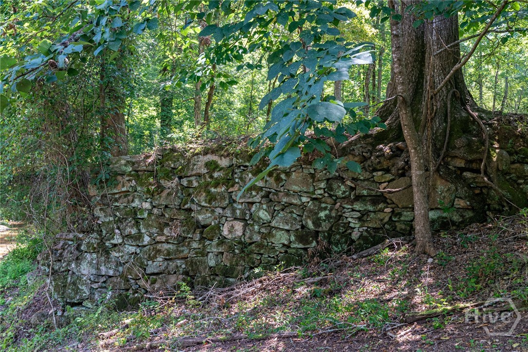 2425 Spratlin Mill Road Property Photo 40