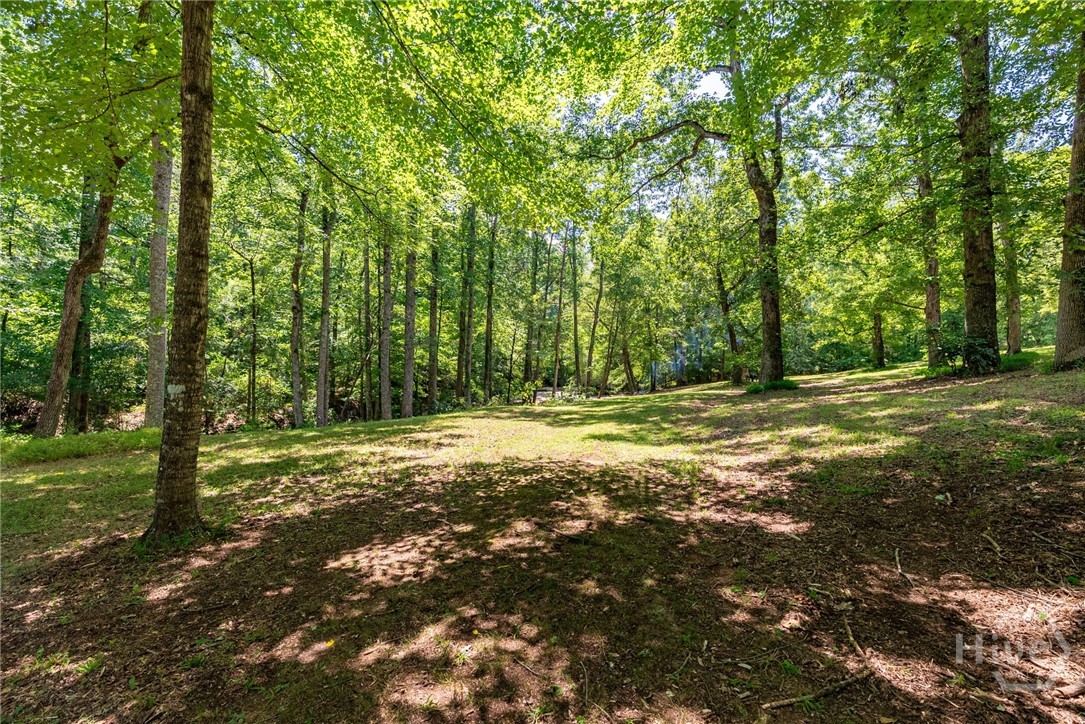 2425 Spratlin Mill Road Property Photo 41