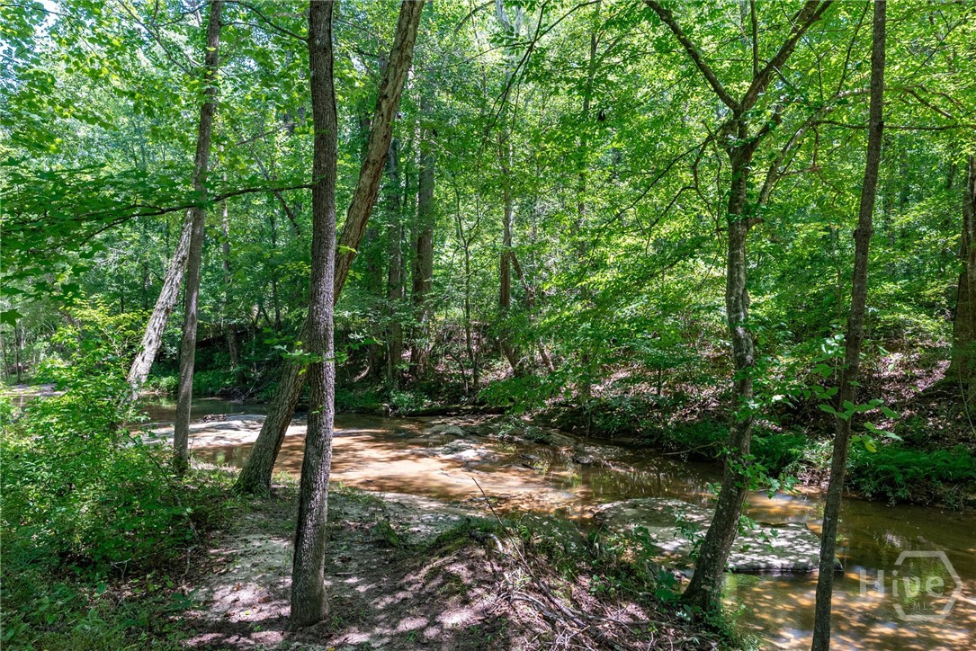 2425 Spratlin Mill Road Property Photo 43
