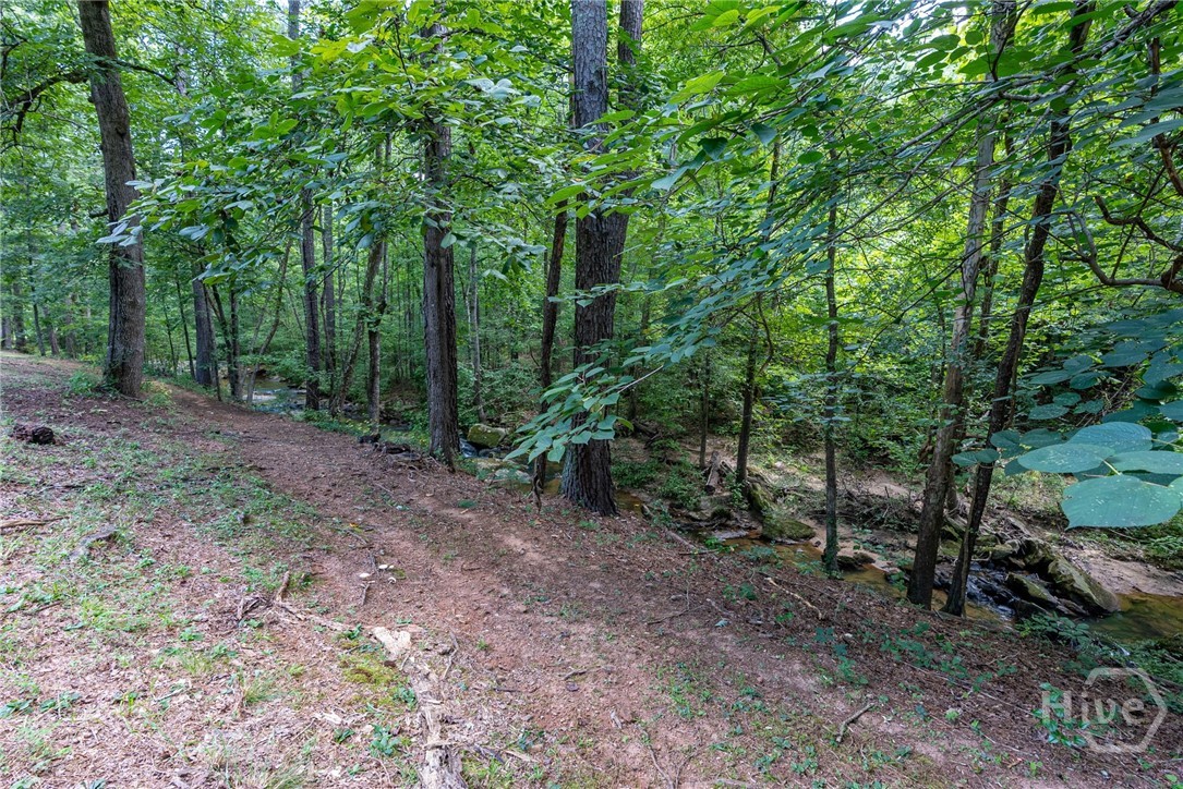 2425 Spratlin Mill Road Property Photo 45
