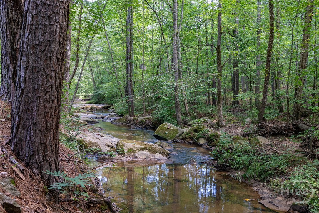 2425 Spratlin Mill Road Property Photo 46