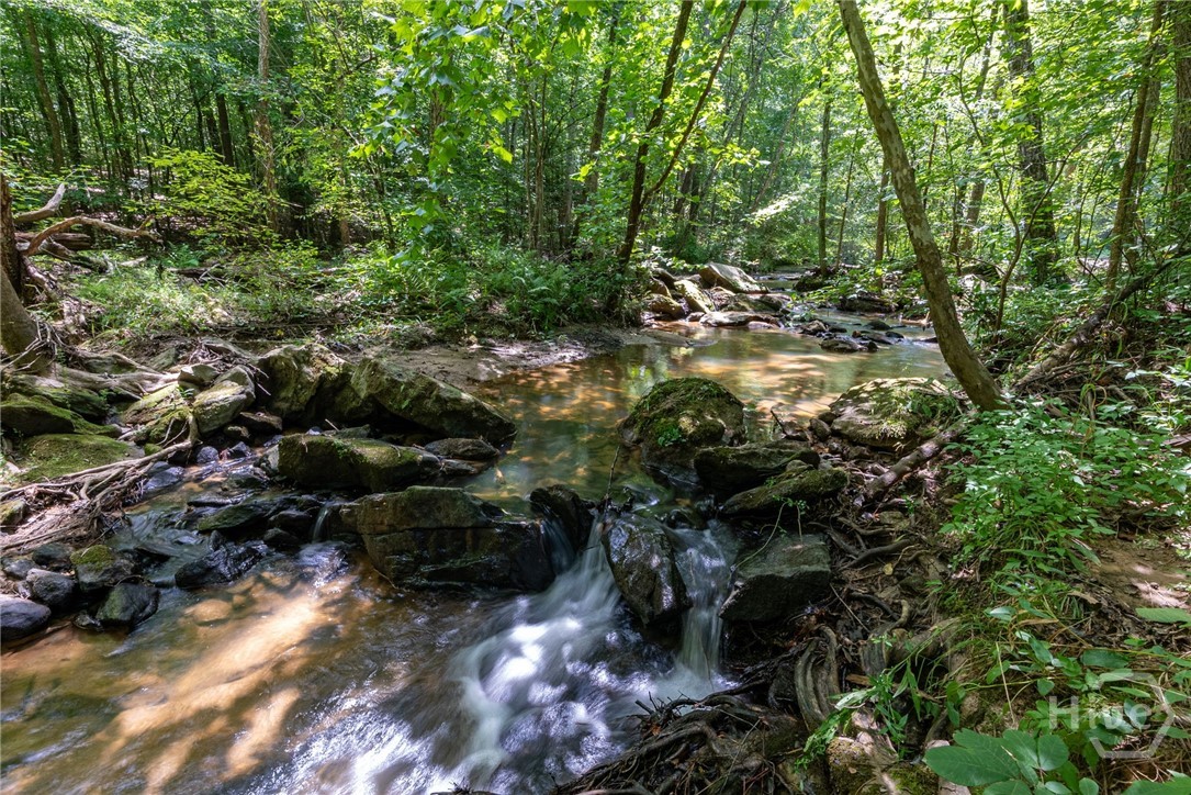 2425 Spratlin Mill Road Property Photo 47