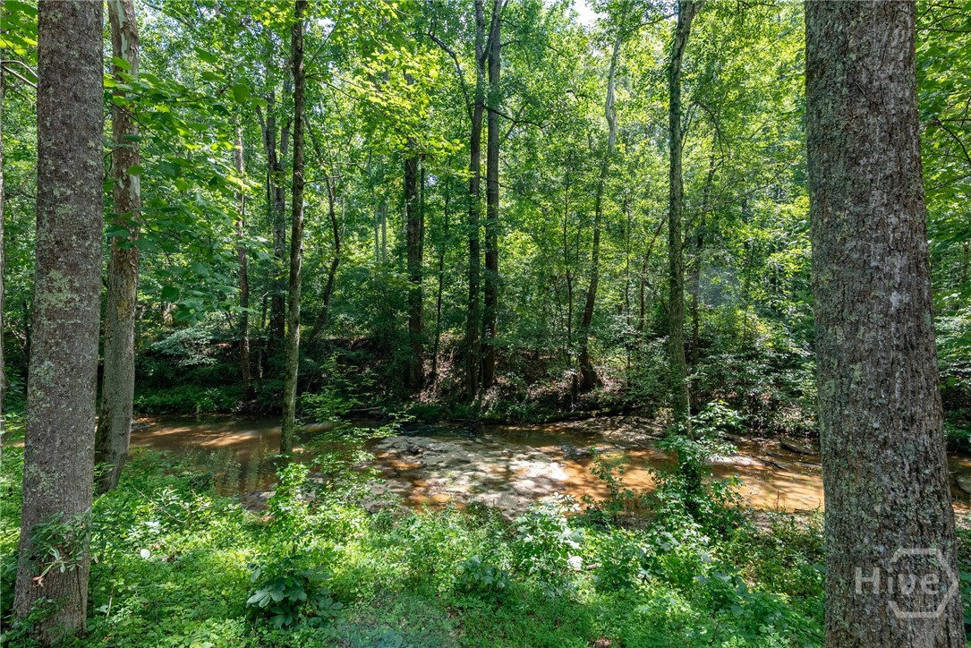 2425 Spratlin Mill Road Property Photo 74