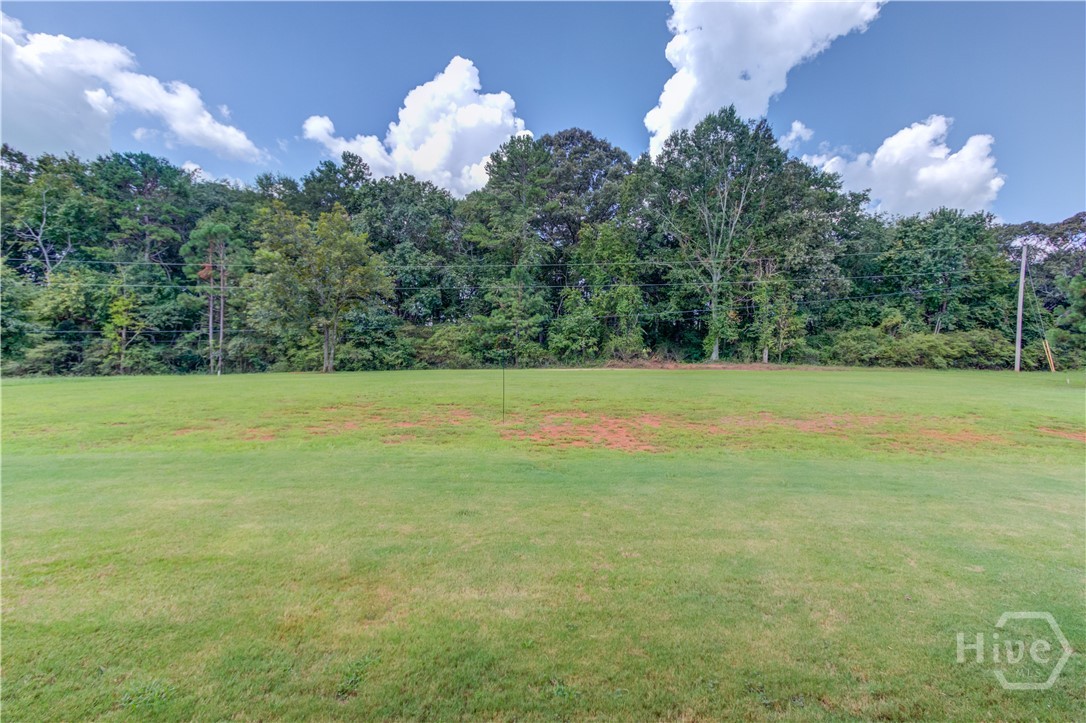 1173 Pine View Trail Property Photo 40
