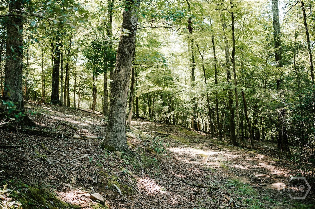 3288 King Hall Mill Road Property Photo 45