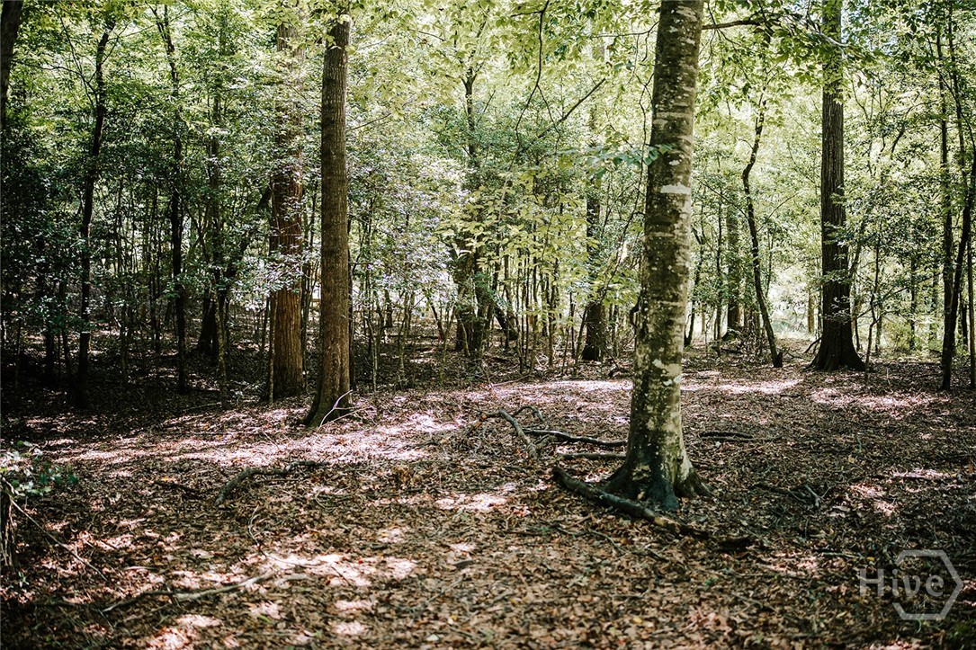 3288 King Hall Mill Road Property Photo 54