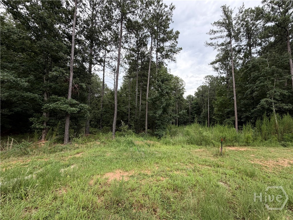 0 Spratlin Court Property Photo 1