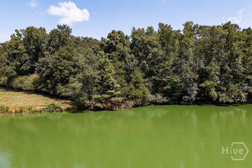 1691 Plantation Road Property Photo 44