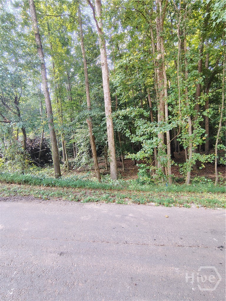 261 Brad St Property Photo 5