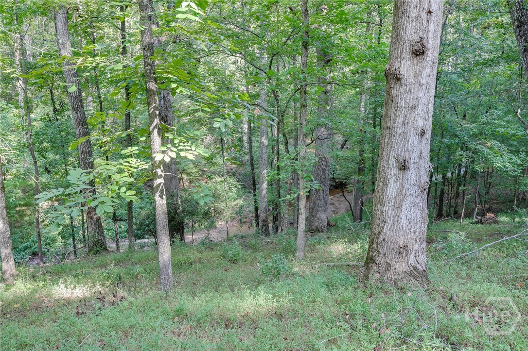 1340 Calls Creek Circle Property Photo 50