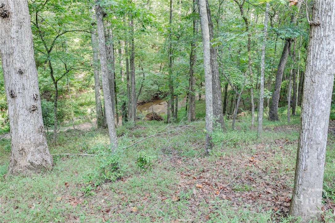 1340 Calls Creek Circle Property Photo 51