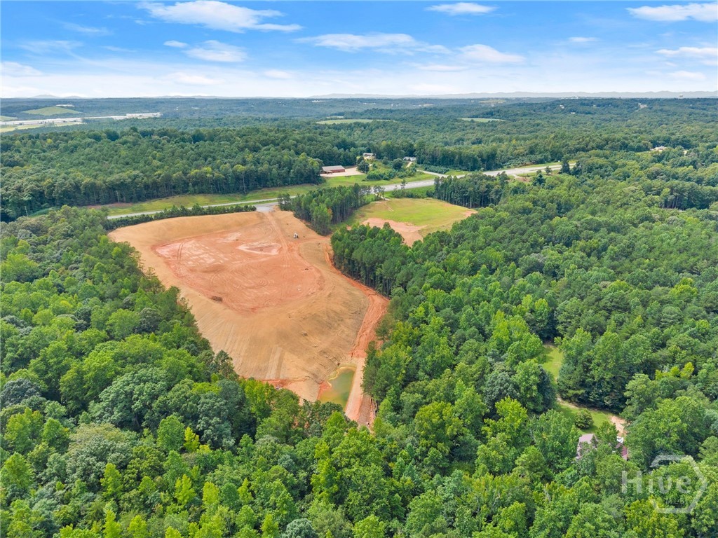 2811 Athens Highway Property Photo 6
