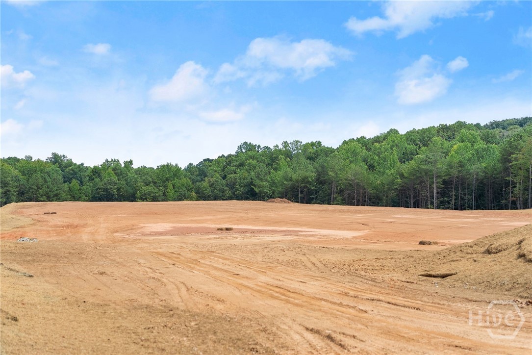 2811 Athens Highway Property Photo 9