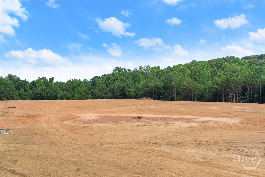 2811 Athens Highway Property Photo 10