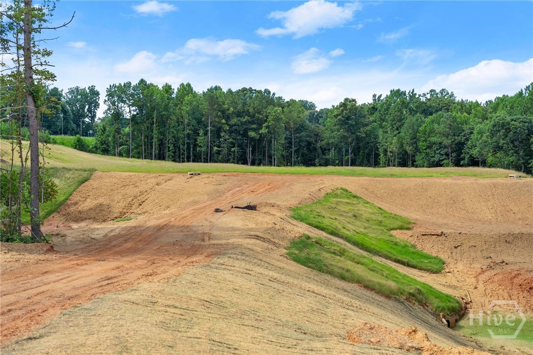 2811 Athens Highway Property Photo 15