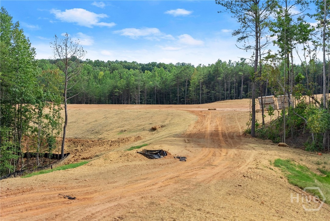 2811 Athens Highway Property Photo 16