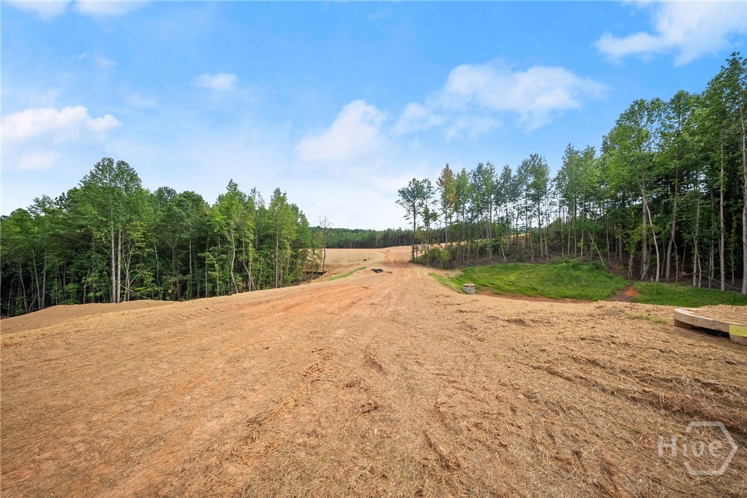2811 Athens Highway Property Photo 18