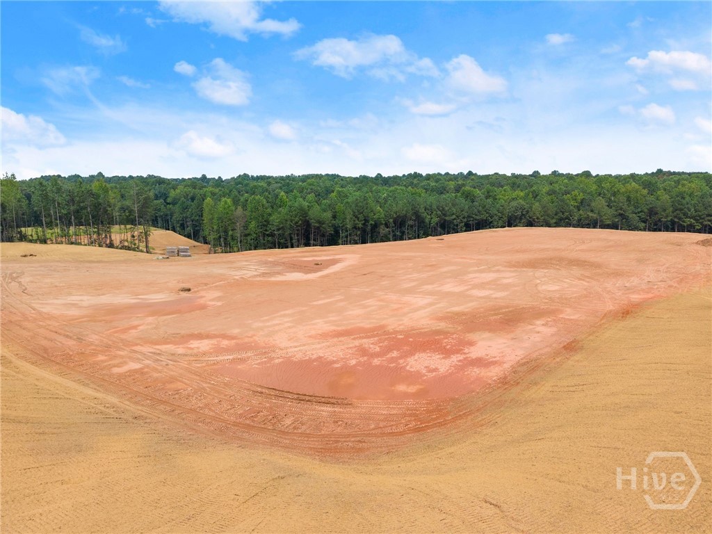 2811 Athens Highway Property Photo 30