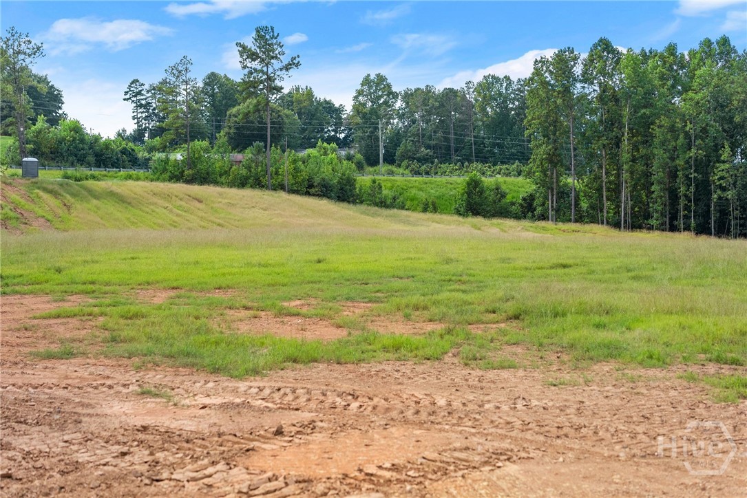 2811 Athens Highway Property Photo 31