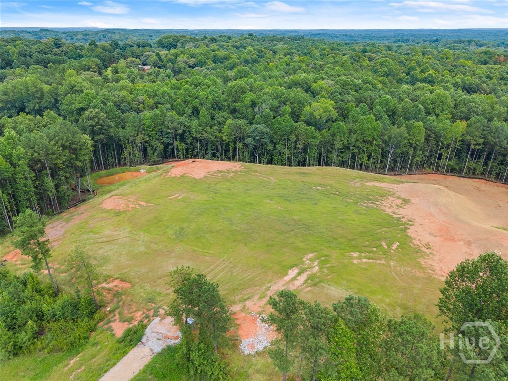 2811 Athens Highway Property Photo 32