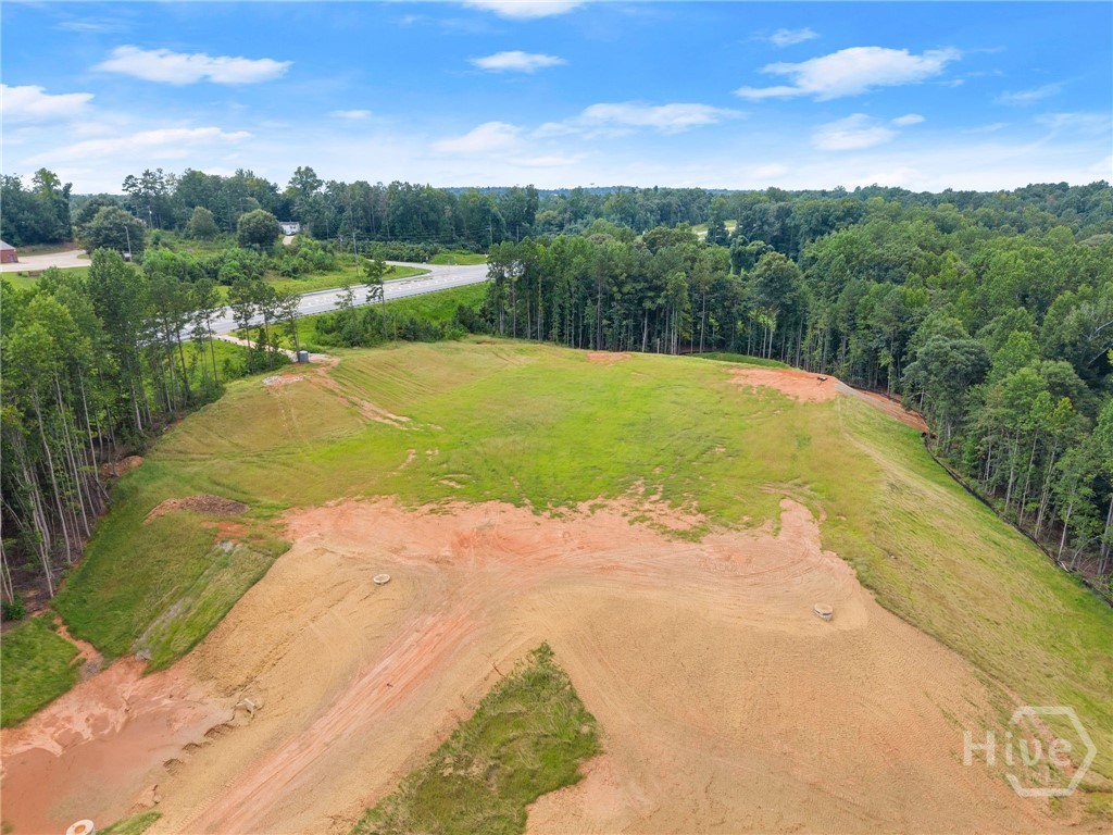 2811 Athens Highway Property Photo 38