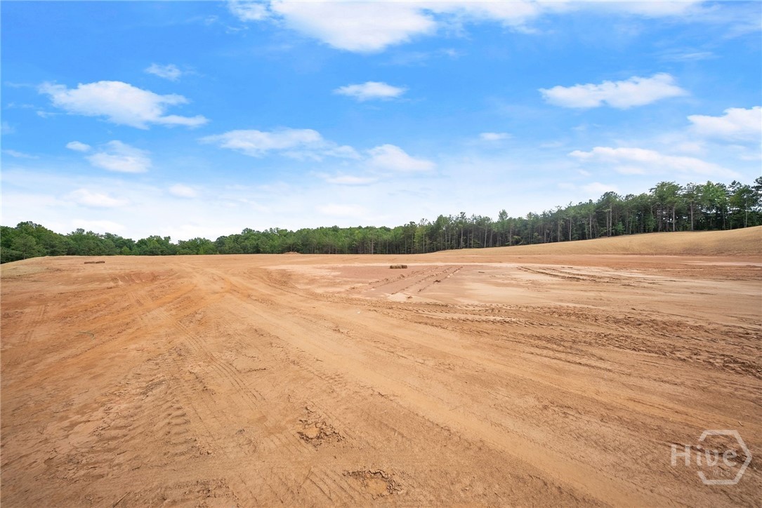 2811 Athens Highway Property Photo 16