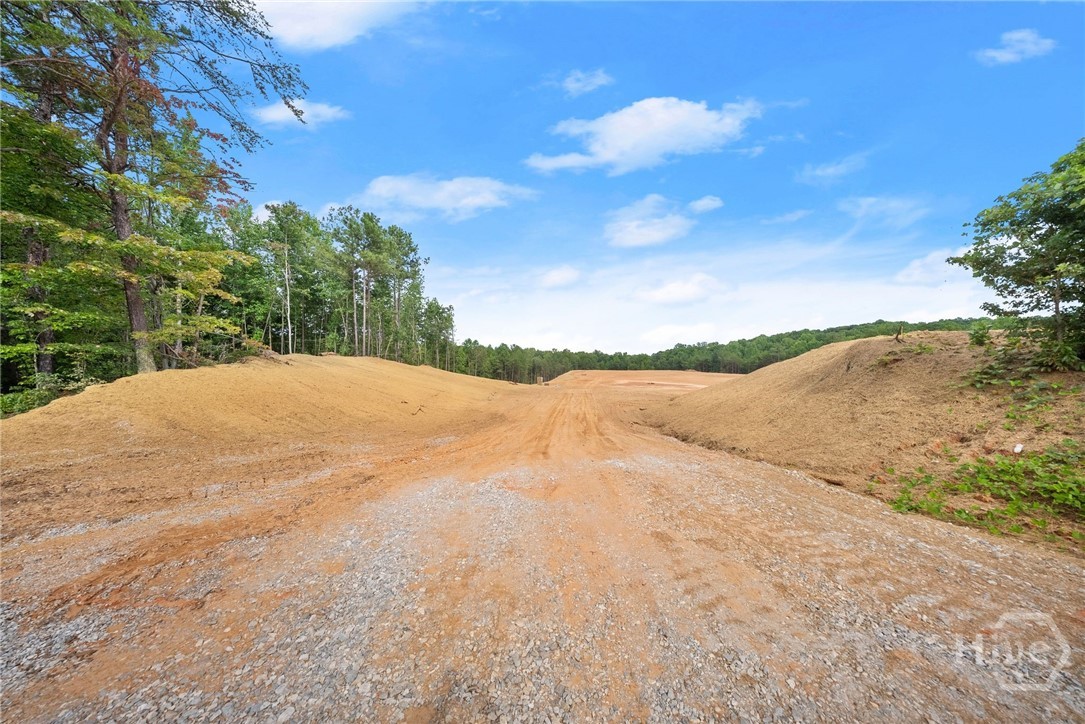 2811 Athens Highway Property Photo 19