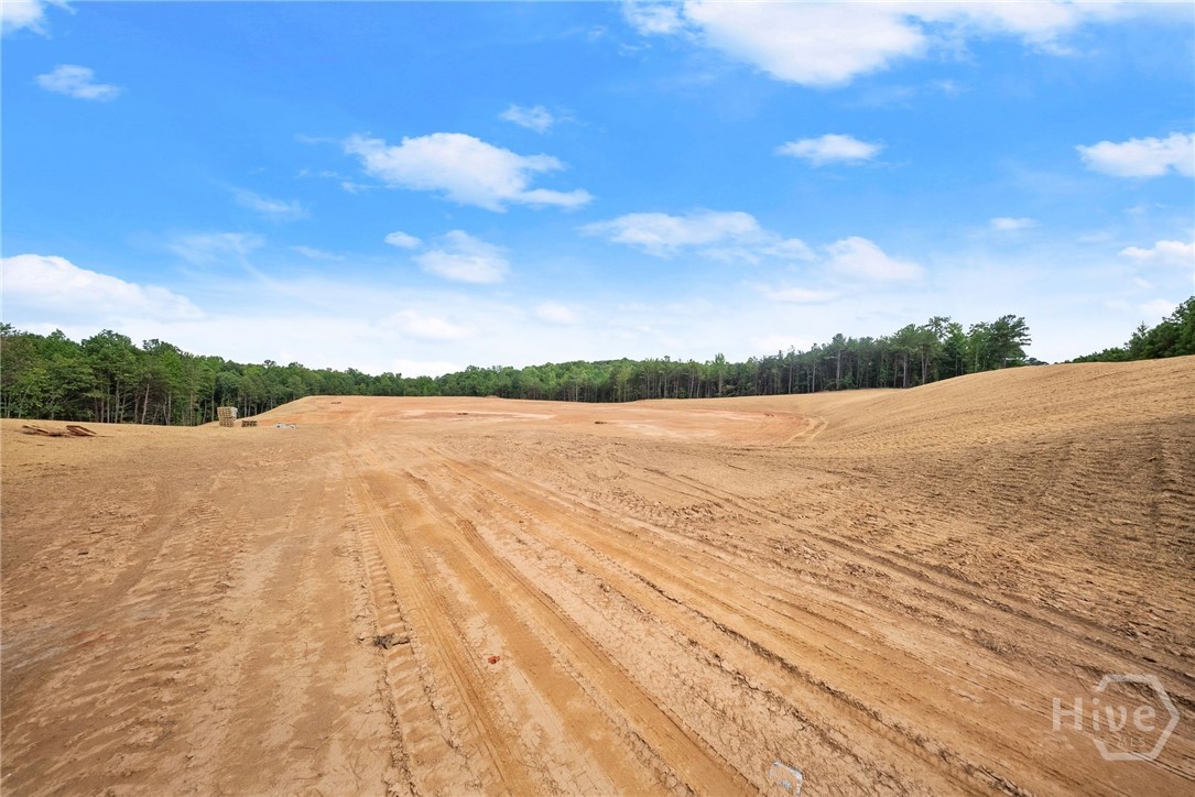 2811 Athens Highway Property Photo 20