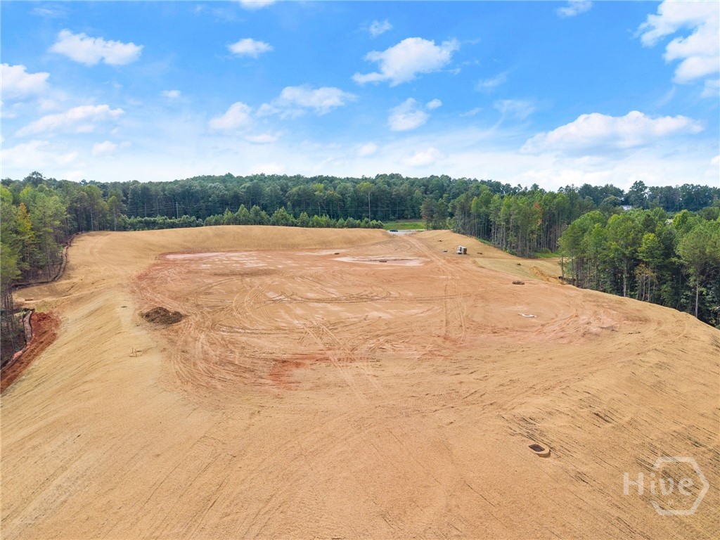 2811 Athens Highway Property Photo 21