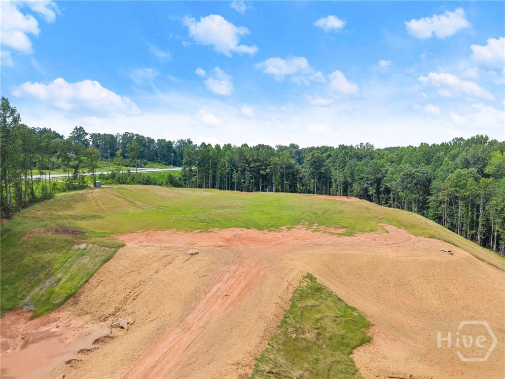 2811 Athens Highway Property Photo 22
