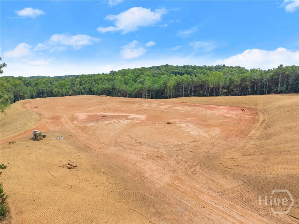2811 Athens Highway Property Photo 24