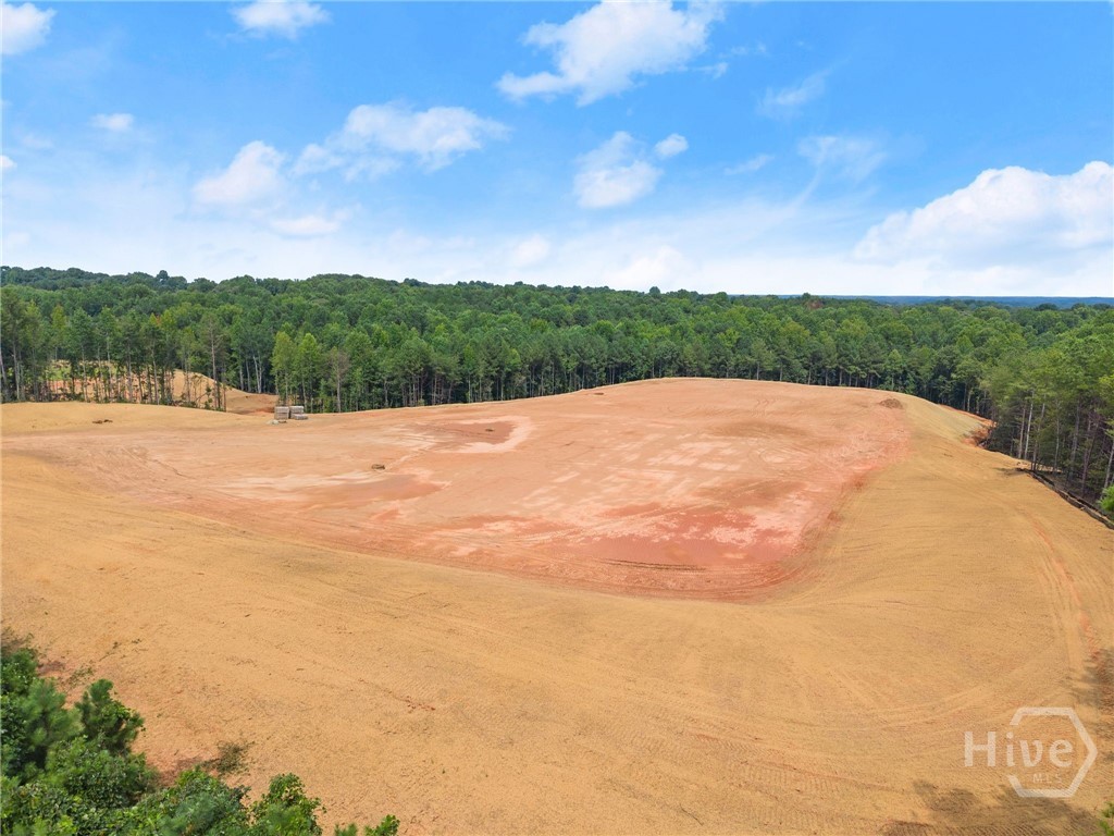 2811 Athens Highway Property Photo 25