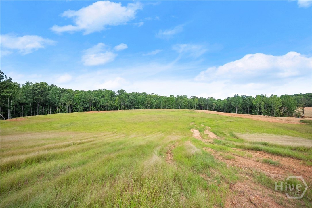 2811 Athens Highway Property Photo 30