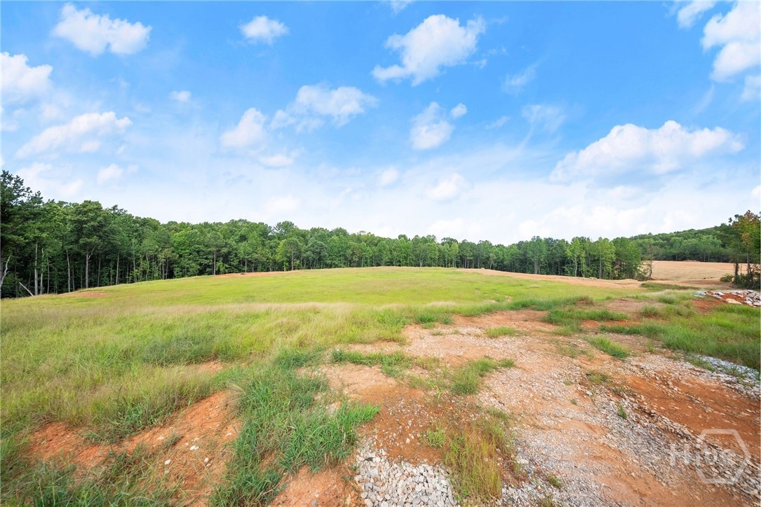 2811 Athens Highway Property Photo 32