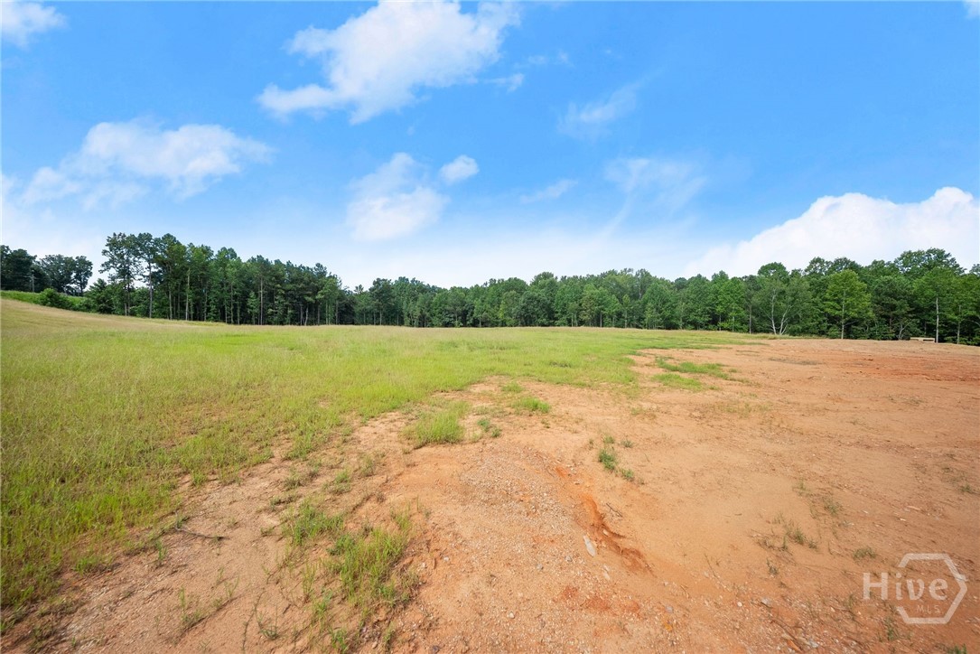 2811 Athens Highway Property Photo 33