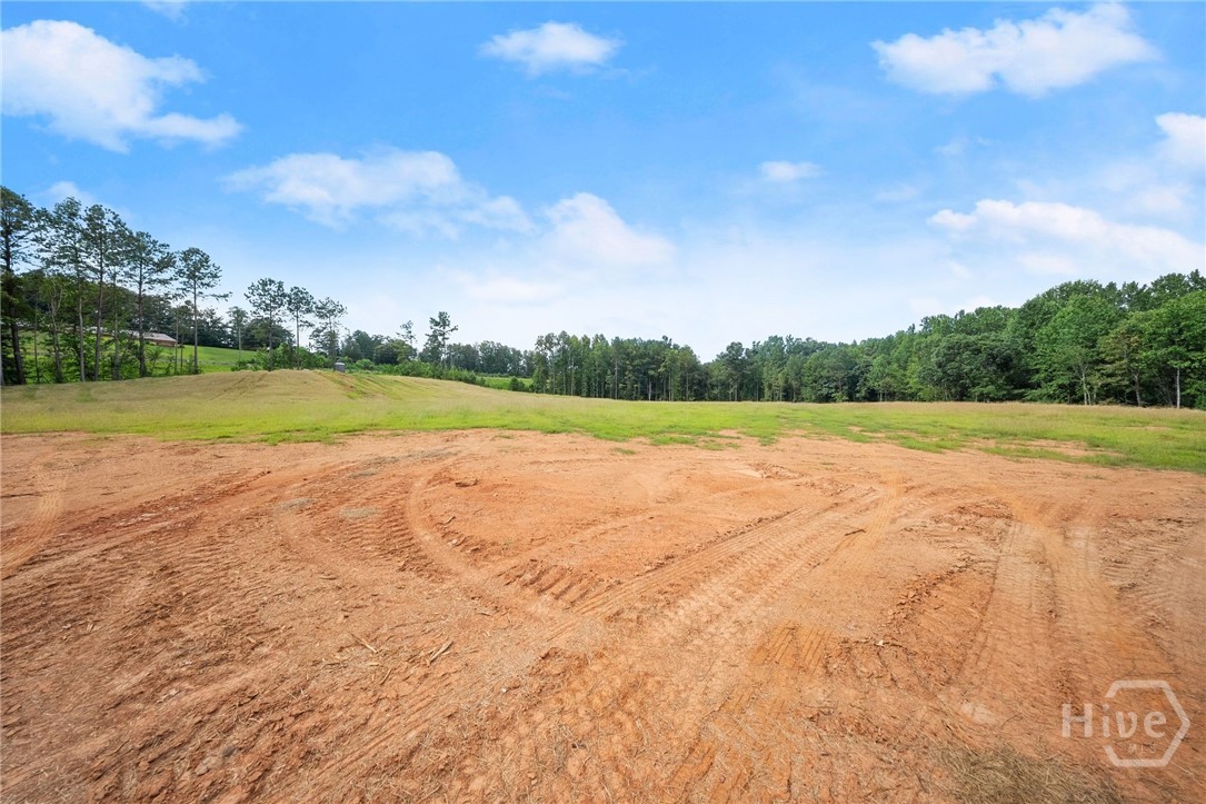 2811 Athens Highway Property Photo 35